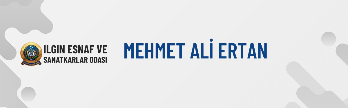 MEHMET ALİ ERTAN